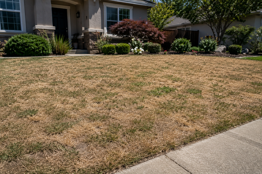 Flow Meters: Part of a Resilient Response to Colorado’s Drought