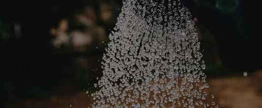 How a Vortex Flow Meter Can Save You Money